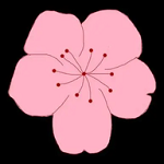 毛片软件